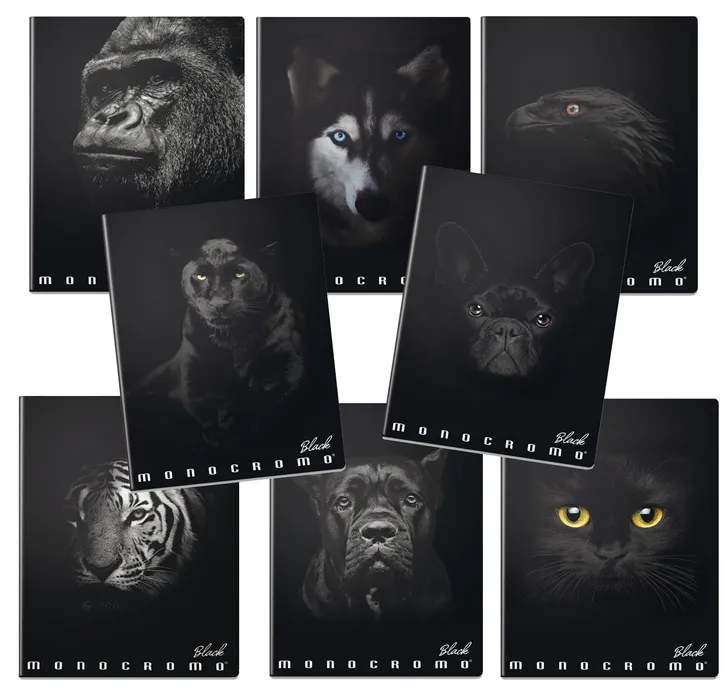 Hauptproduktbild Školní sešit Pigna Monocromo Black A5, linkovaný, mix motivů