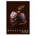 Schulheft Pigna Monocromo Chocolate - A4, liniert, 38 Blatt, Motivmix