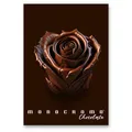 Weiteres Produktbild Školní sešit Pigna Monocromo Chocolate - A5, linkovaný, 38 listů, mix motivů