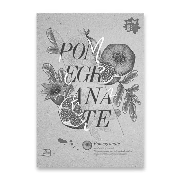 Hauptproduktbild Školní sešit Premium Nature A4, čtverečkovaný, 40 listů, mix motivů