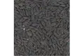 Schwarze Sonnenblume 800g