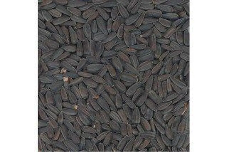 Hauptproduktbild Slunečnice černá 800g
