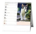 Tischkalender - IDEÁL - Katzen /mit Katzennamen/