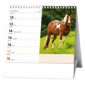 Weiteres Produktbild Tischkalender - IDEÁL - Pferde