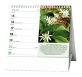 Tischkalender - IDEÁL - Heilpflanzen