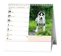 Tischkalender - IDEÁL - Hund - treuer Freund /mit Hundenamen/