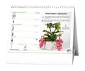 Tischkalender - Zimmerpflanzen