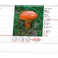 Weiteres Produktbild Tischkalender - Aus Wanderungen