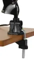 Tischleuchte Architect, schwarz, 11W, ALBA