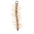 Weiteres Produktbild Hundertfüßerspielzeug für Katzen, Plüsch/Bass 33 cm