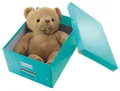 Leitz Click & Store Medium Universalbox, blau