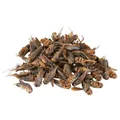 Weiteres Produktbild Getrocknete Grille 250 ml/25 g
