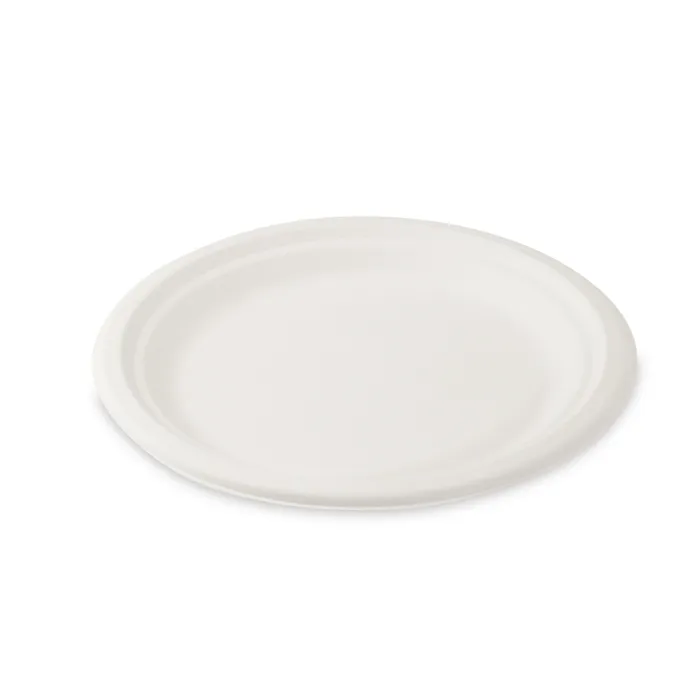 Hauptproduktbild Talíř kulatý BIO cukrová třtina průměr 22 cm [10 ks]