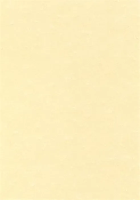 Hauptproduktbild Texturovaný papír, pergamenový efekt, šampaň, A4, 95g, APLI [100 listů]