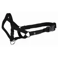 Weiteres Produktbild TOP TRAINER Trainingshalfter L 31cm TRIXIE