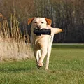 Weiteres Produktbild Trainingspuppen 6 x 18 cm, auch für Nassfutter, Polyester, schwarz