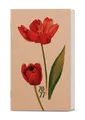 Wöchentlicher Terminkalender - Alois - kraft - Tulipán