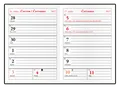 Wochenplaner - Ladislav - PVC - grau
