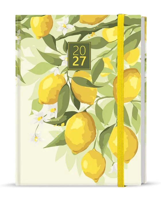 Hauptproduktbild Týdenní diář - Prokop - Lamino - B6 - Citron