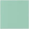 Servietten PAW AIRLAID L 40x40cm Monocolor (helles Mint) [50 Stück]