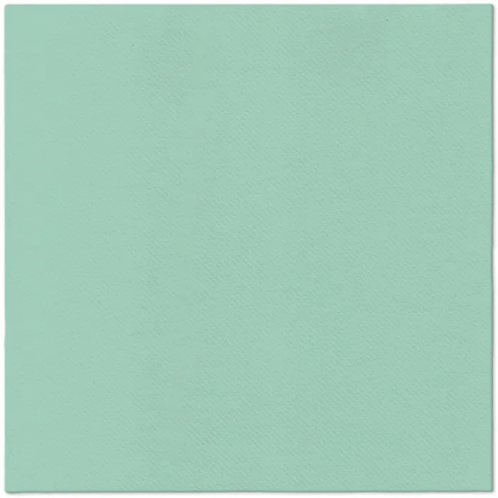 Hauptproduktbild Ubrousky PAW AIRLAID L 40x40cm Monocolor (light mint) [50 ks]
