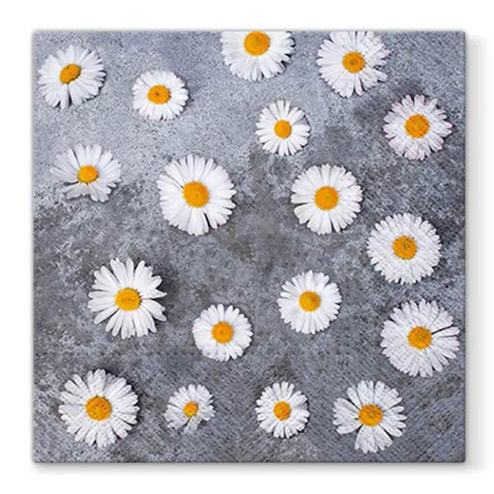 Hauptproduktbild Ubrousky PAW L 33x33cm Daisies Love