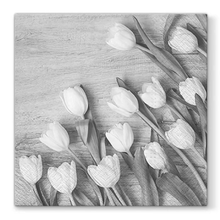 Hauptproduktbild Ubrousky PAW L 33X33cm White Tulips