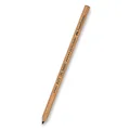 Umělecký pastel Faber-Castell Pitt Monochrome tvrdost EH