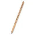 Umělecký pastel Faber-Castell Pitt Monochrome tvrdost M