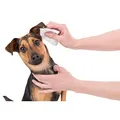 Weiteres Produktbild Ohrenpflege - Reinigungstücher (30 Stück)