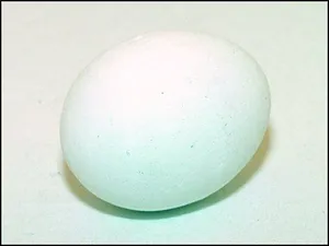 Ei - Basis