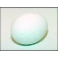 Weiteres Produktbild Ei - Basis