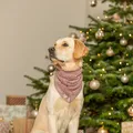 Weiteres Produktbild Vánoční hebký šátek, plyš, starorůžová55 cm
