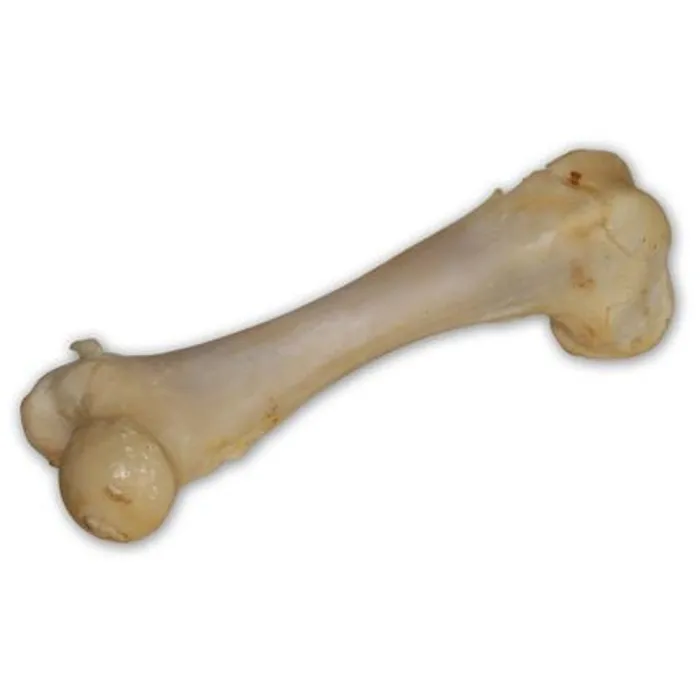 Hauptproduktbild Vepřová kost bílá - extrudovaná 1 ks/17 cm