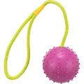 Weiteres Produktbild Wurfball klumpig an einer Schnur 7cm/30cm - TRIXIE