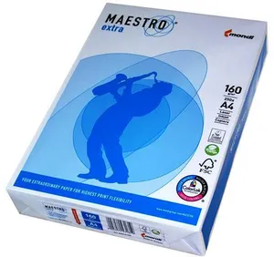 Kopierpapier A4/160g Maestro [250 Blatt]