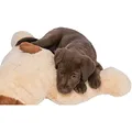 Weiteres Produktbild XXL-Plüschhund Benny, 75 cm, beige/braun