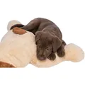Weiteres Produktbild XXL-Plüschhund Benny, 75 cm, beige/braun