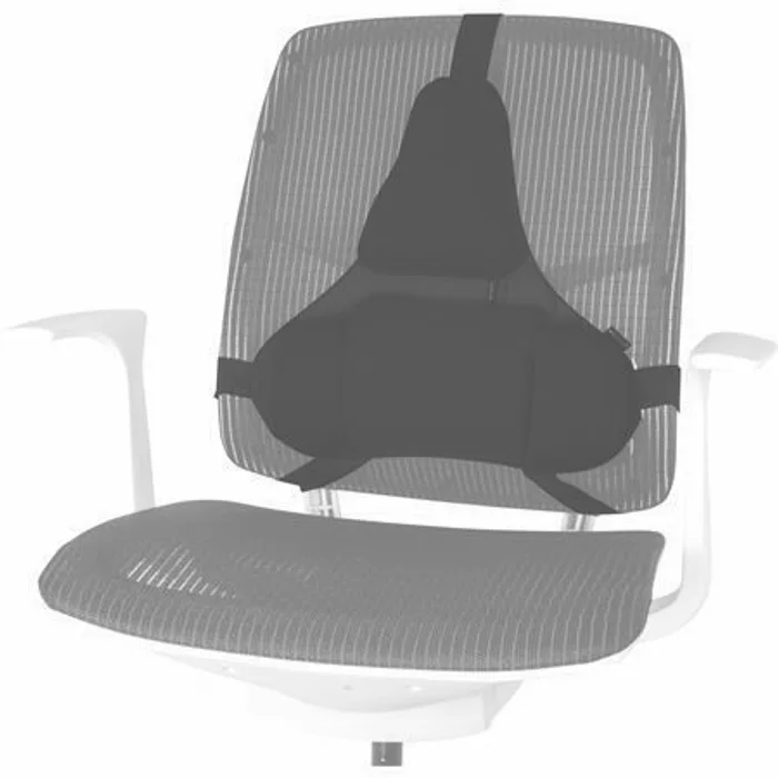 Hauptproduktbild Zádová opěrka Profesional, opora beder, černá, plast, Fellowes