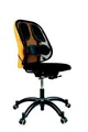 Rückenlehne Profesional, Speicherschaum, schwarz, Fellowes