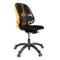 Rückenlehne Profesional, Speicherschaum, schwarz, Fellowes