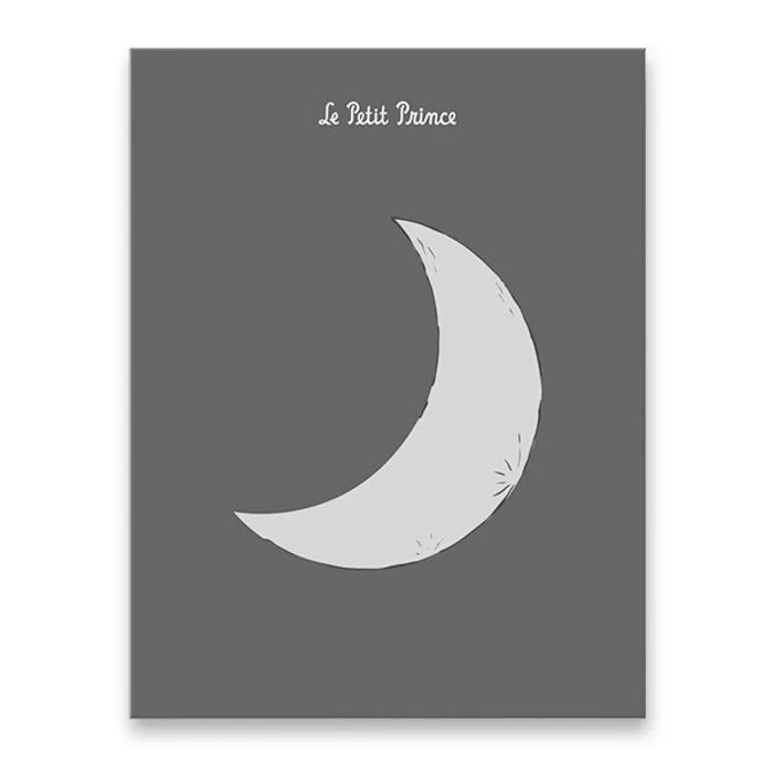 Hauptproduktbild Zápisník a sešit Moleskine Le Petit Prince Moon - set 2 ks zápisník linkovaný, L + sešit č
