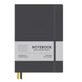 Notizbuch Shkolyaryk Genius - Hardcover A5, liniert, dunkelgrau