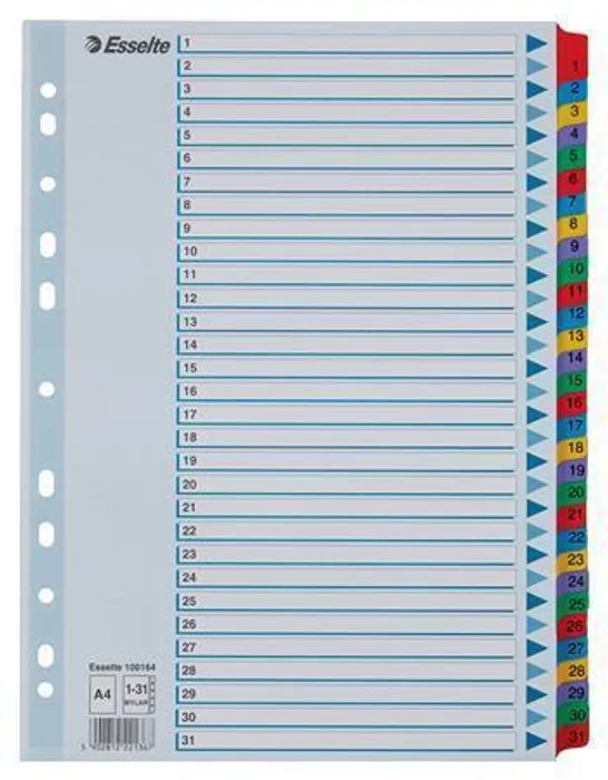 Hauptproduktbild Zesílené kartonové rejstříky Esselte Mylar, A4, Mix barev