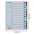 Verstärkter Karton registriert Esselte Mylar, A4, Farbmix