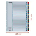 Verstärkter Karton registriert Esselte Mylar, A4, Farbmix