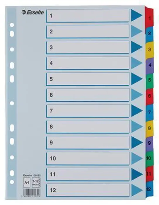Hauptproduktbild Zesílené kartonové rejstříky Esselte Mylar, A4, Mix barev