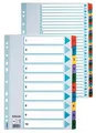 Verstärkter Karton registriert Esselte Mylar, A4, Farbmix