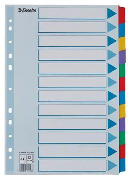 Hauptproduktbild Zesílené kartonové rozlišovače Esselte Mylar, A4, Mix barev