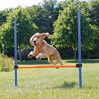 Papírenské zboží - AGILITY překážka, 3 tyče 129x115cm 